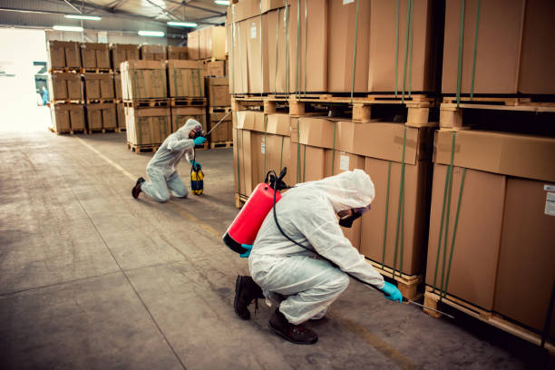 Best Best Pest Control Companies  in Mableton, GA