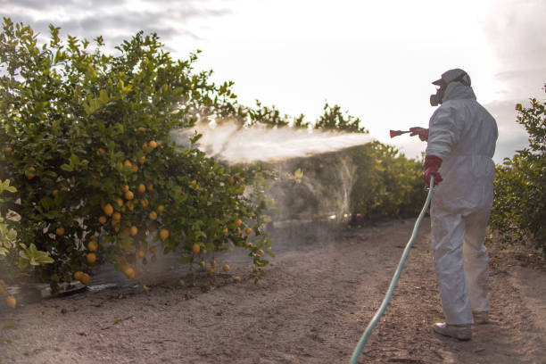 Best Insect Control  in Mableton, GA