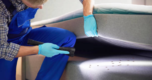 Best Wasp Removal Services  in Mableton, GA