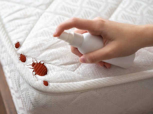 Best Cockroach Control Services  in Mableton, GA