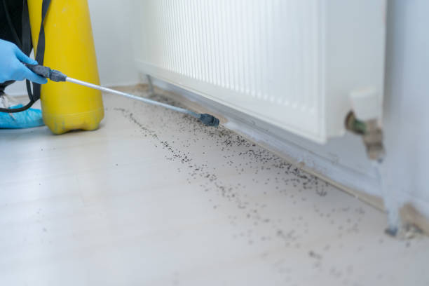 Best Affordable Pest Control Services  in Mableton, GA